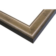 Veined Ogee 2 5/8" Warm Silver Artist Frame