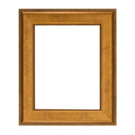 Veined Ogee 2 5/8" Warm Gold Artist Frame