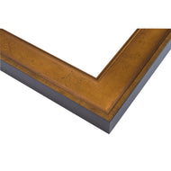 Veined Ogee 2 5/8" Warm Gold Artist Frame