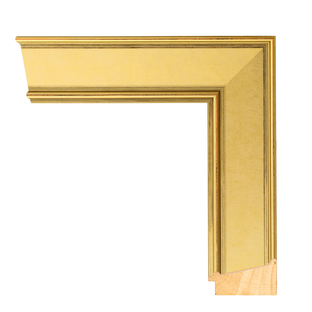 Alba 2 1/2" Gold Artist Frame