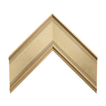 Alba 2 1/2" Champagne Artist Frame