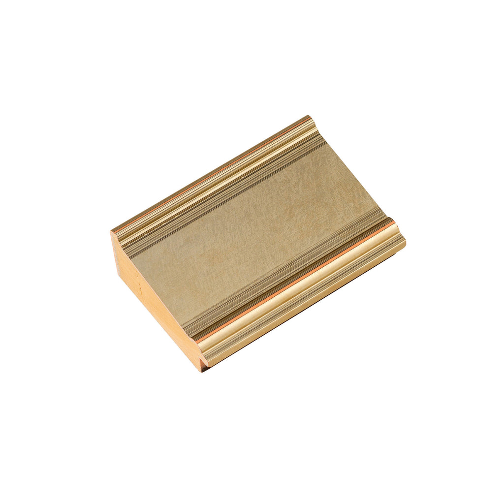 Alba 2 1/2" Champagne Artist Frame