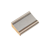 Alba 2 9/16" Silver Artist Frame