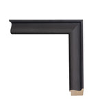 Dresden Black Umber 2" Artist Frame