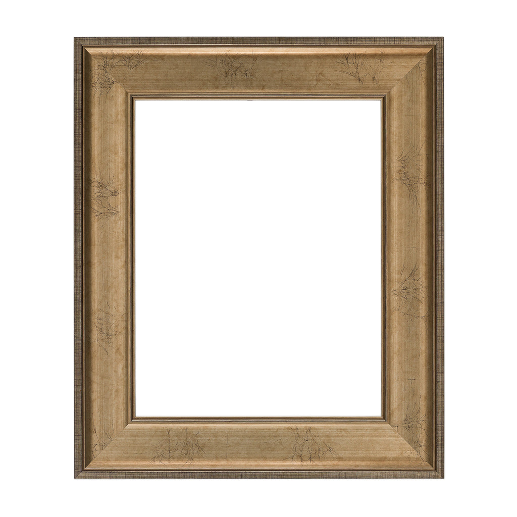 Veined Ogee 2 5/8" Warm Silver Artist Frame