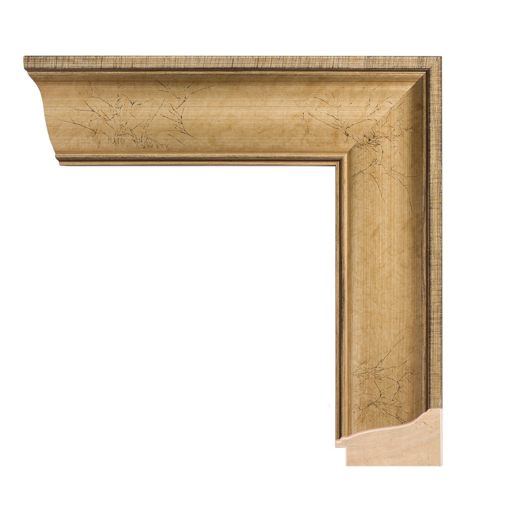 Veined Ogee 2 5/8" Warm Silver Artist Frame
