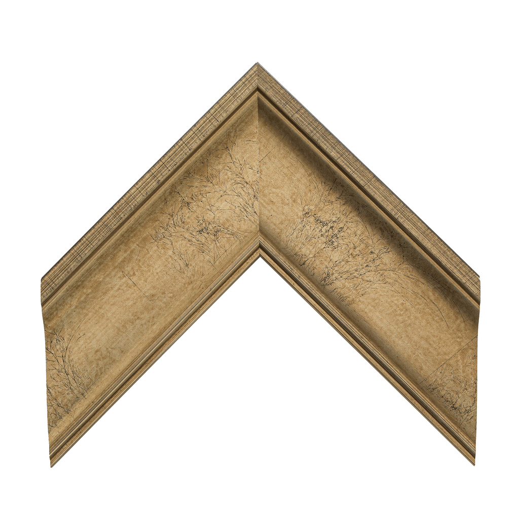 Veined Ogee 2 5/8" Warm Silver Artist Frame