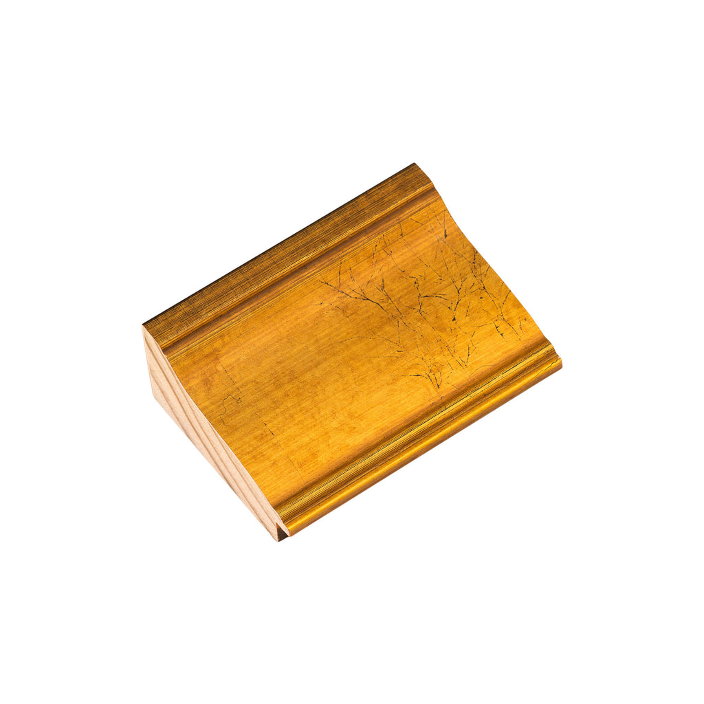 Veined Ogee 2 5/8" Warm Gold Artist Frame