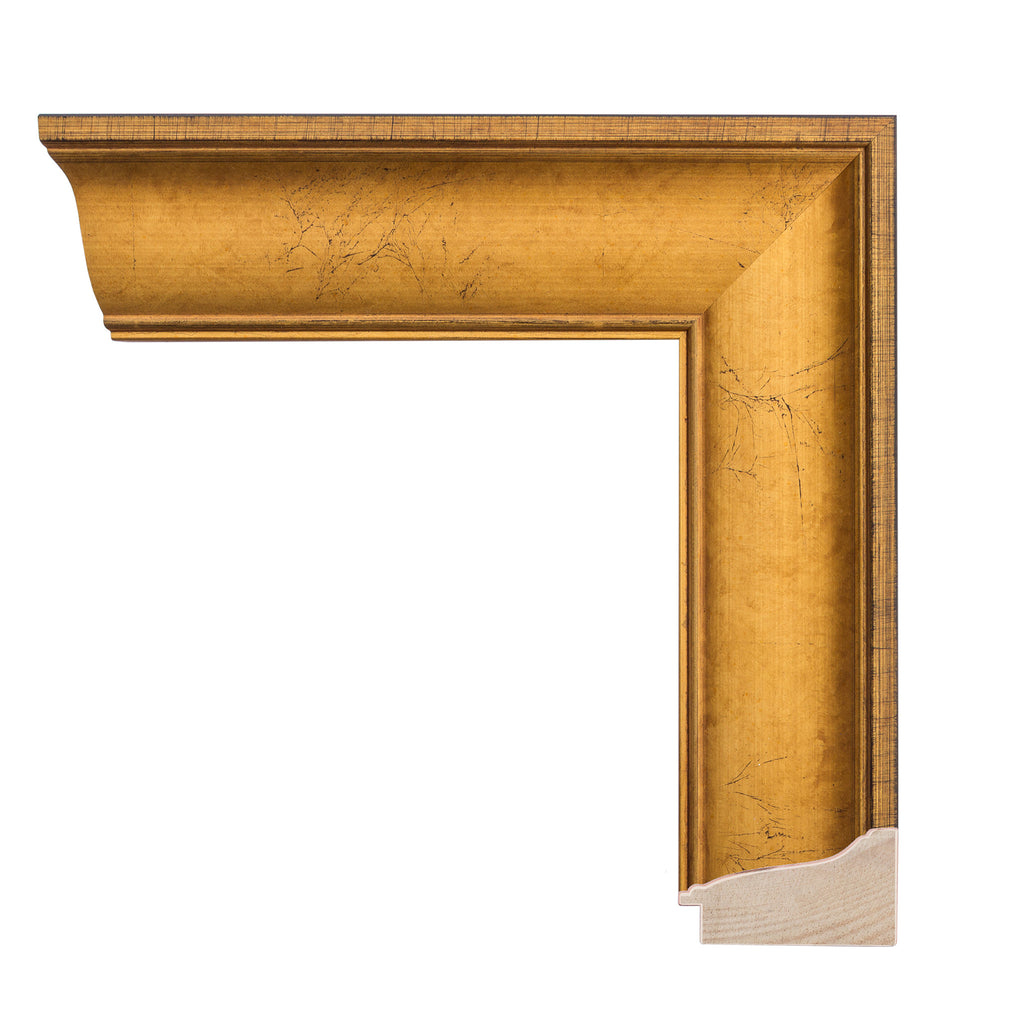 Veined Ogee 2 5/8" Warm Gold Artist Frame