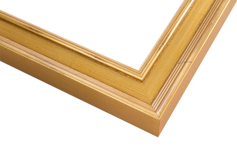 Traditional Gold Metal Leaf Frame