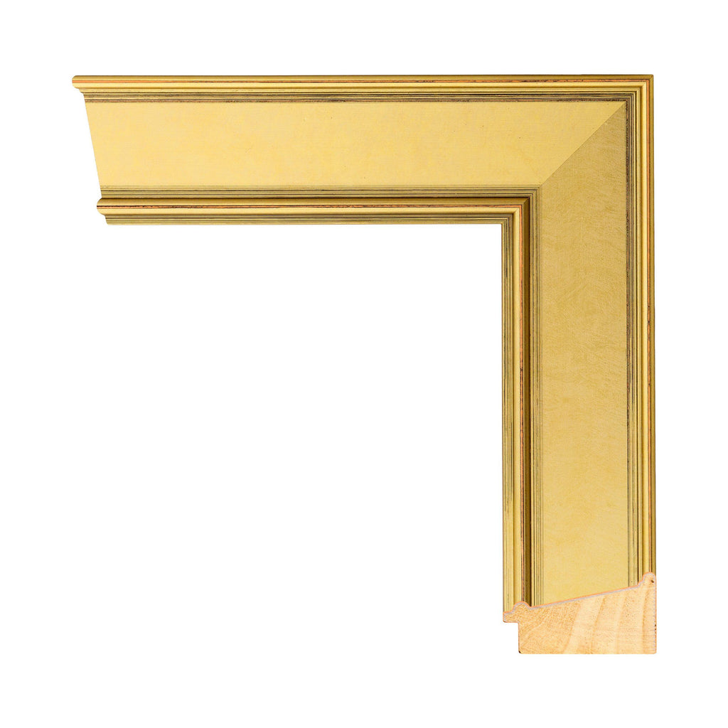 Modern Gold Frame